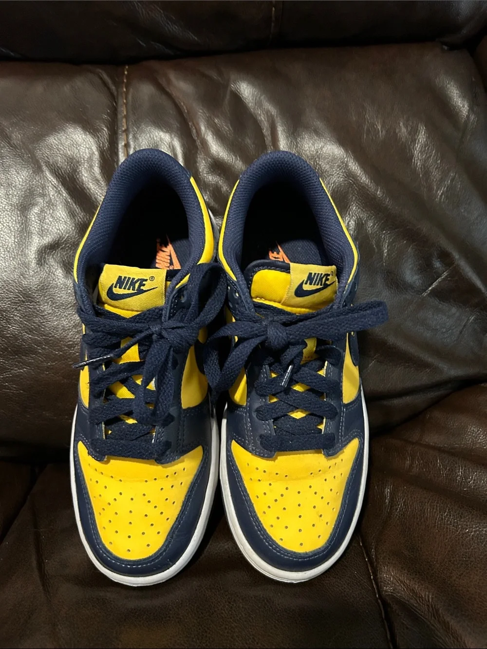 Nike Kids Low Dunk Sneakers in Yellow and Navy Blue